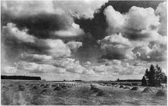 Landschap ten zuiden van Onderdijke