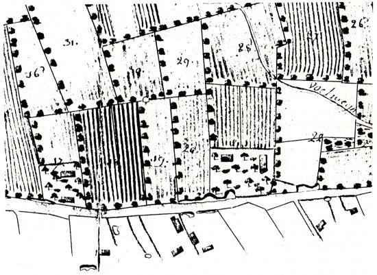 Bewoning op het Westeindeken (Landboek 1765)