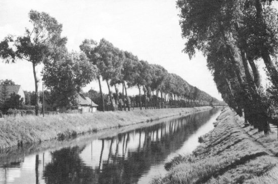 Natuurschoon langs het Schipdonkkanaal